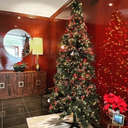 It’s beginning to look a lot like Christmas at Drayton Tower!